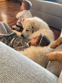 two dogs and a little girl laying on a couch