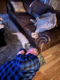 a man laying on the floor next to a cat