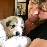 a woman is holding a puppy in her arms